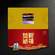 大连市人民政府/宣传物料